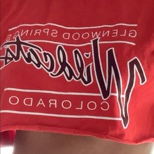 Red wildcats brandy melville crop top